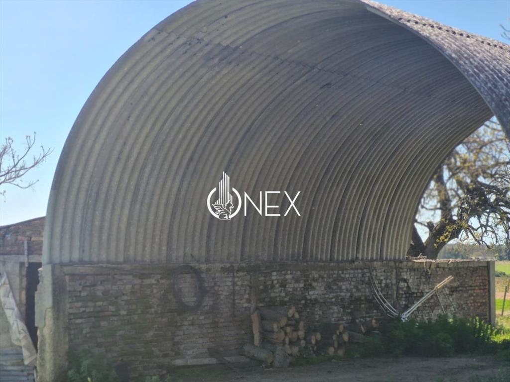 Campo en venta en Arroyo Negro 120 hectáreas
