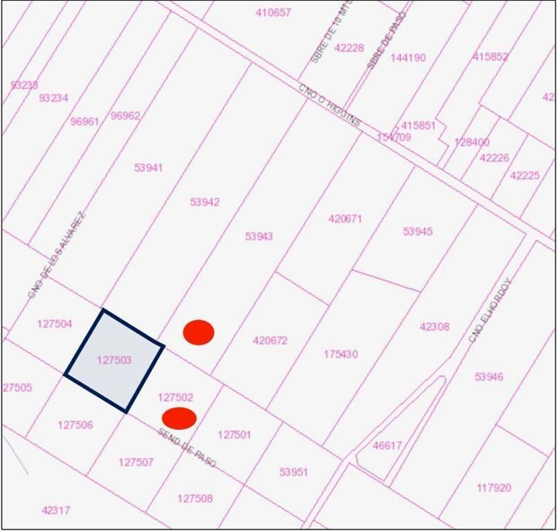 VENTA DE CHACRA DE 11 HECTÁREAS ZONA PAJAS BLANCAS