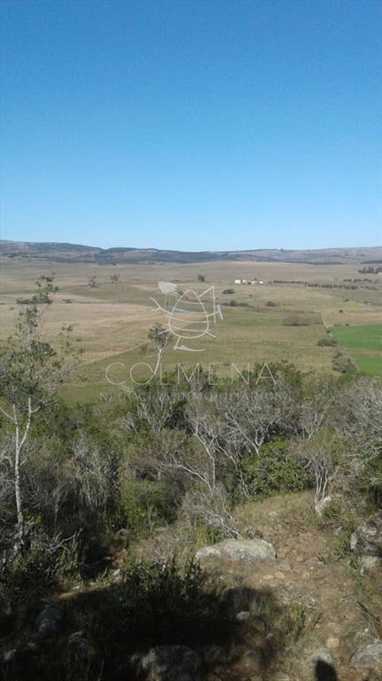 Campo en Lavalleja - 79 has con 8432 m2 -