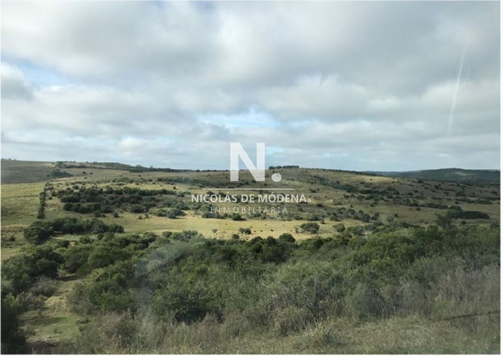 En venta campo criador en Montevideo - Treinta y