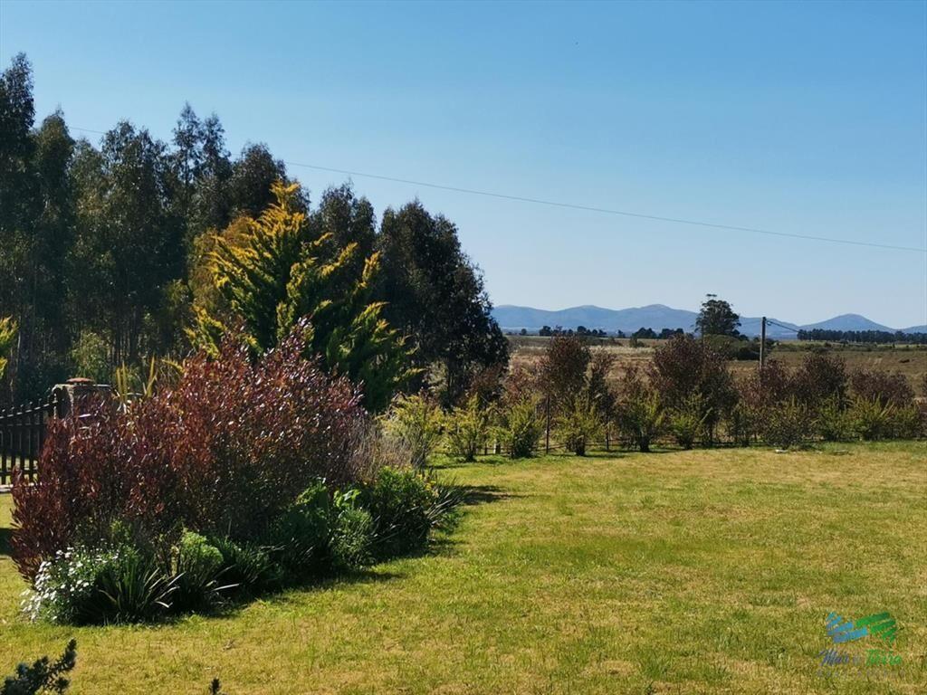 En venta chacra de 6 hectareas con casa a 1 hora