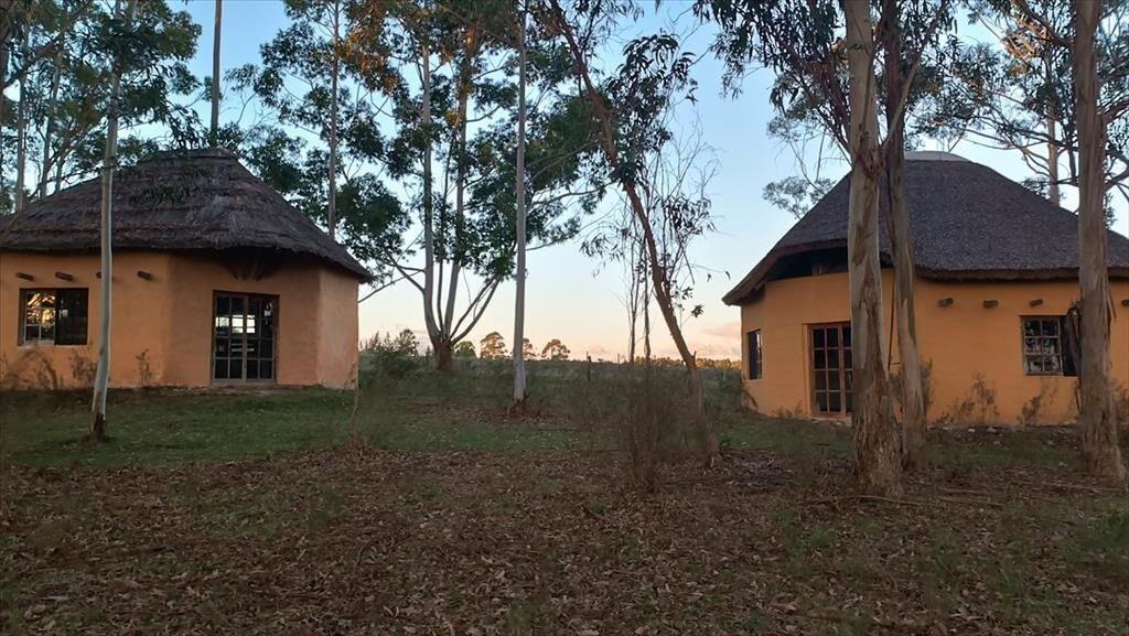 Venta - Campo de 5,6 hectáreas - A 8 km de Atlantida