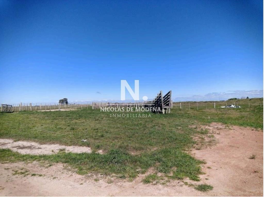 Vende Campo de 2 padrones en Treinta y tres.