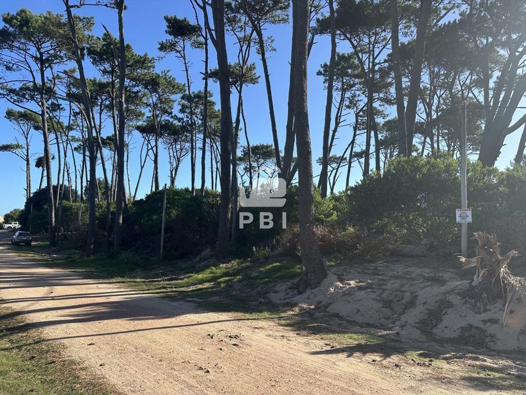 Venta de excelente terreno en Punta Ballena - Ref : PBI145