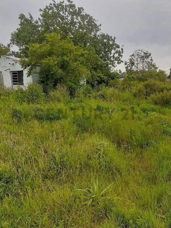Venta?-TERRENO 1500 m2/Mas Construccion Precaria/ Proxi. ...