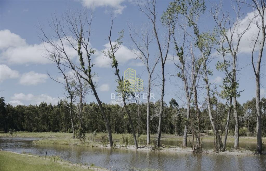 venta terreno punta del este la barra barrio