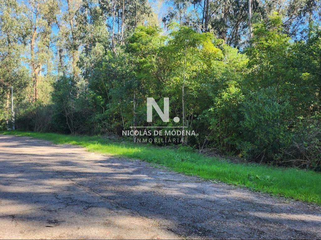 Vende terreno amplio de 4226 m2, en Las Cumbres-