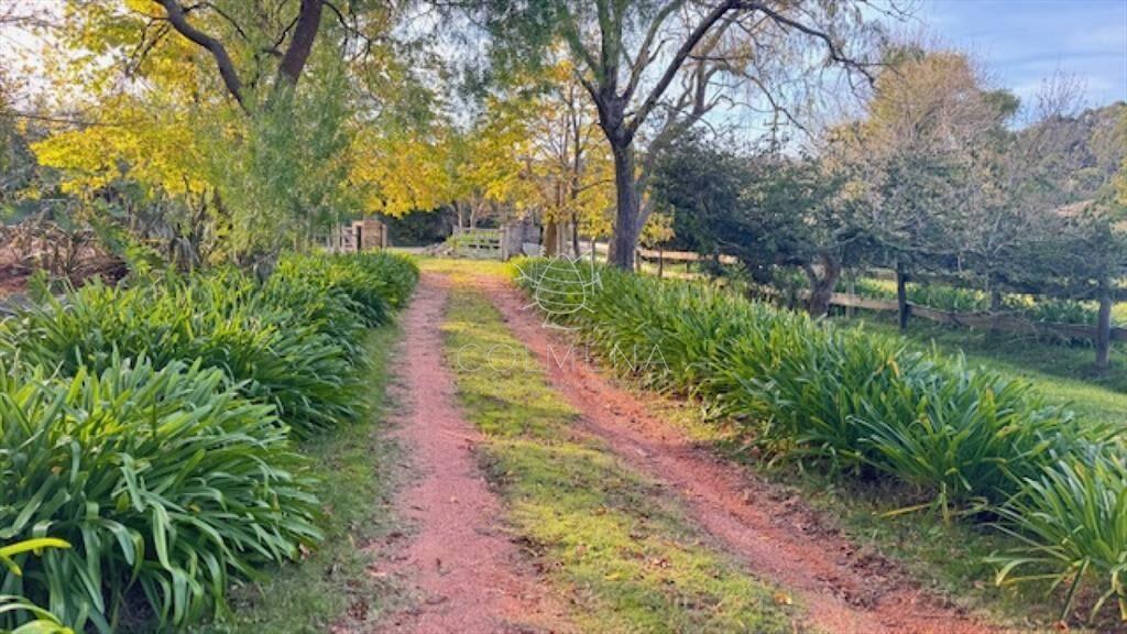 Campo de 4 has 1602 m2 muy cerca de ruta 12 y la