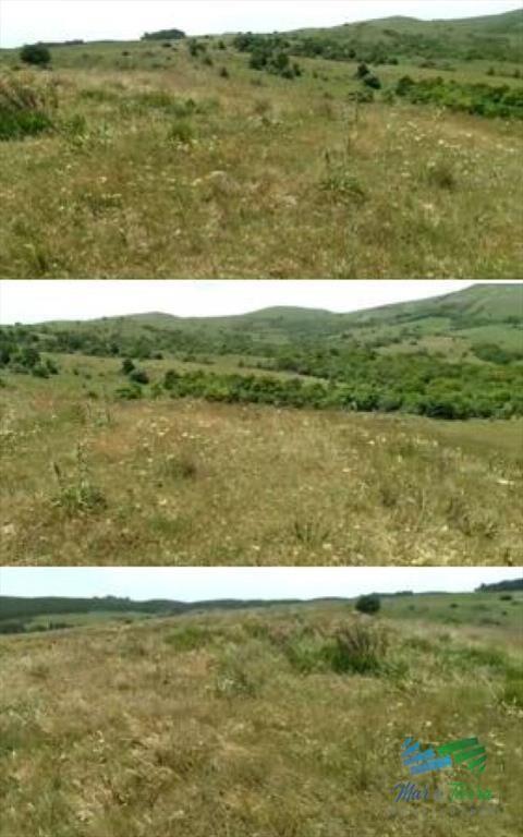 Linda fracción de campo ganadero con aptitud