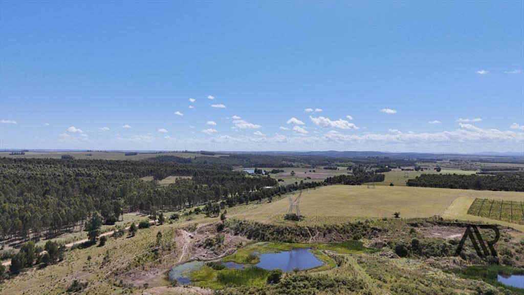 Campo en venta de 69ha ubicado en Atlántida