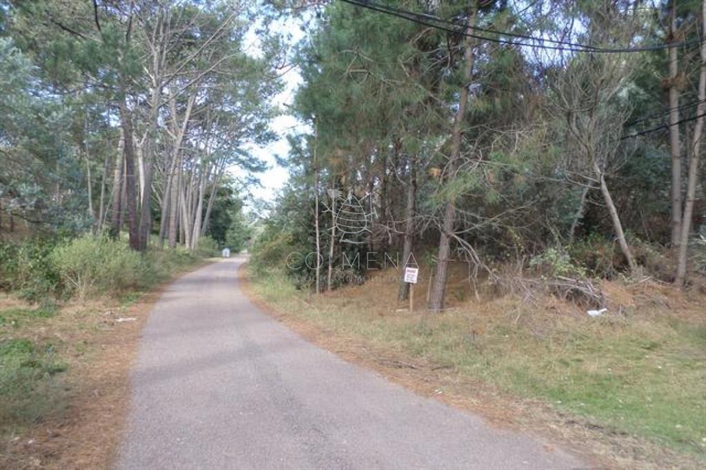 Terreno en Oeste