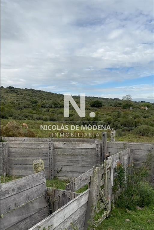 Chacra de 11 has con cascos antiguos. Proximo a