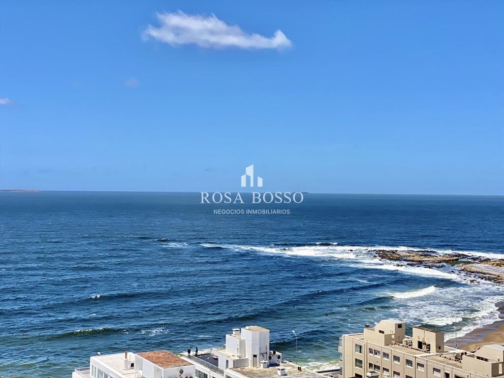 Apartamento 1  dormitorios y medio 1 baños Punta