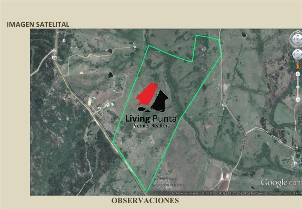 Muy buen campo 100% ganadero en ruta 12