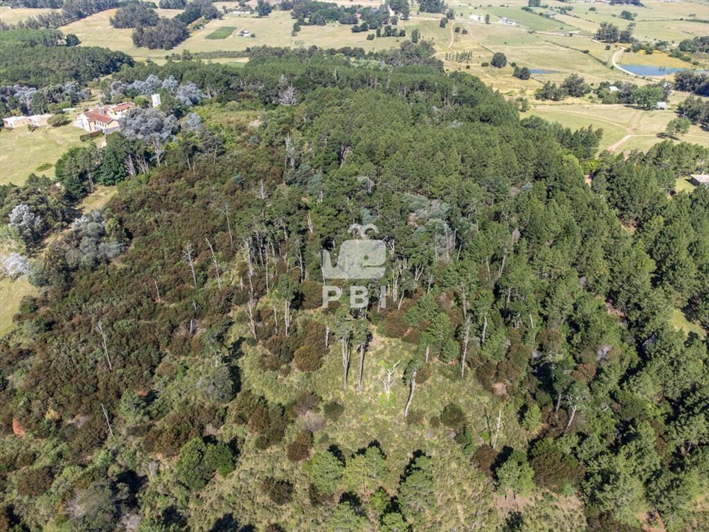 Chacra en venta en Laguna del Sauce, Punta - Ref