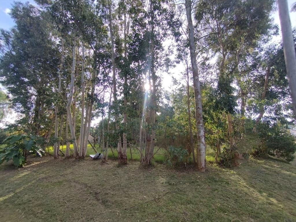 Terreno en Los Pinos