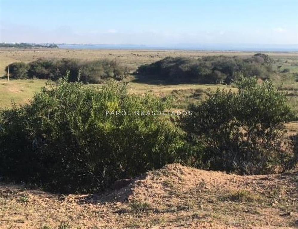 Hermosa chacra en venta en José Ignacio, Punta