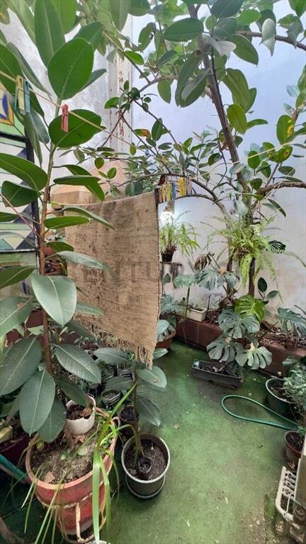 Venta casa Pta Carretas Comercio 21 de setiembre o flia g...