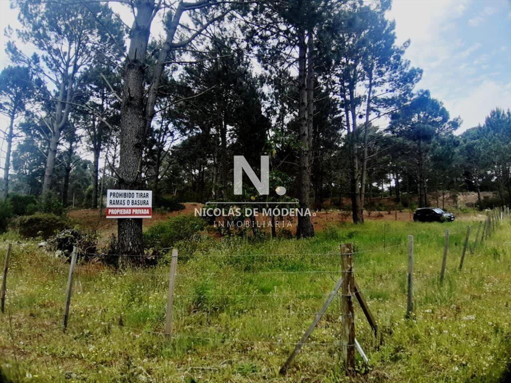 Venta Terreno en Punta Ballena, Gran Oportunidad