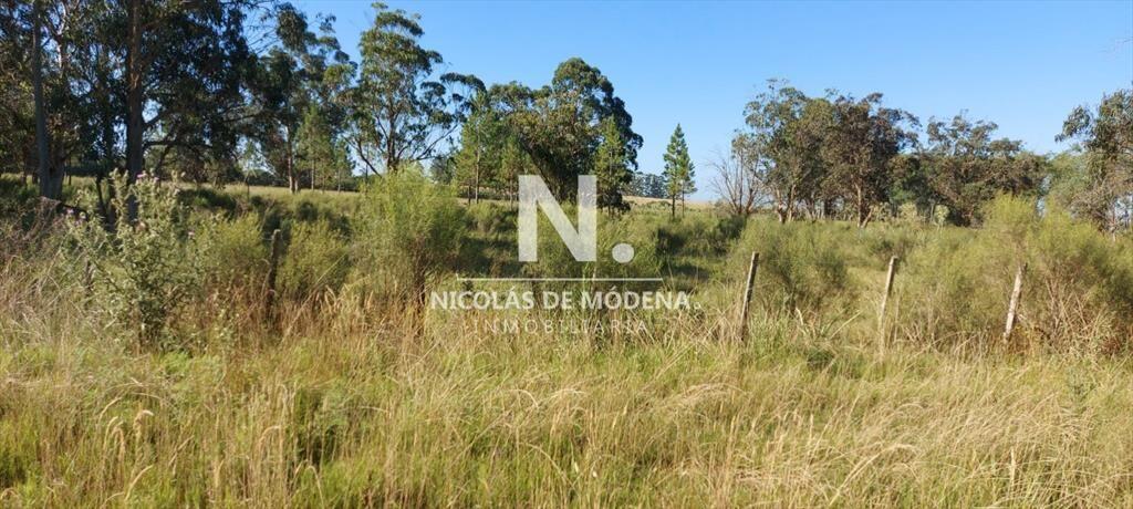 Venta fracción de campo en zona La Pataia