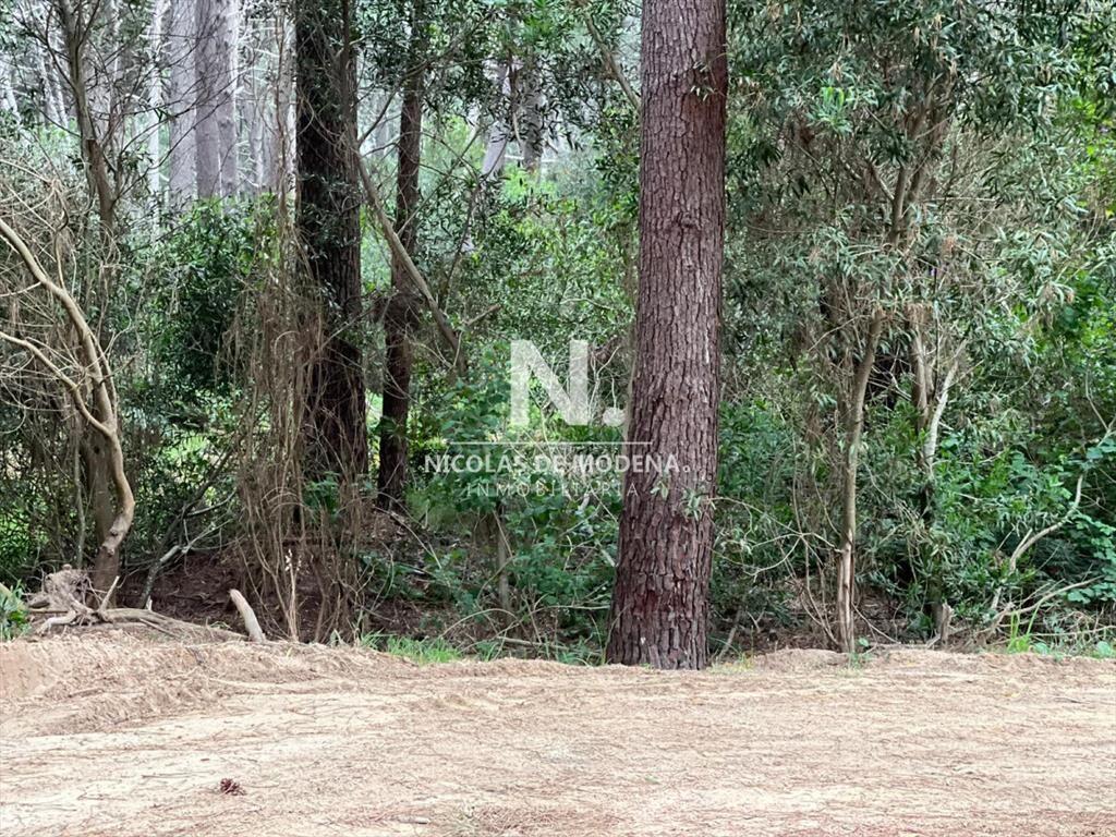 Vende terreno en la Reserva de Montoya.