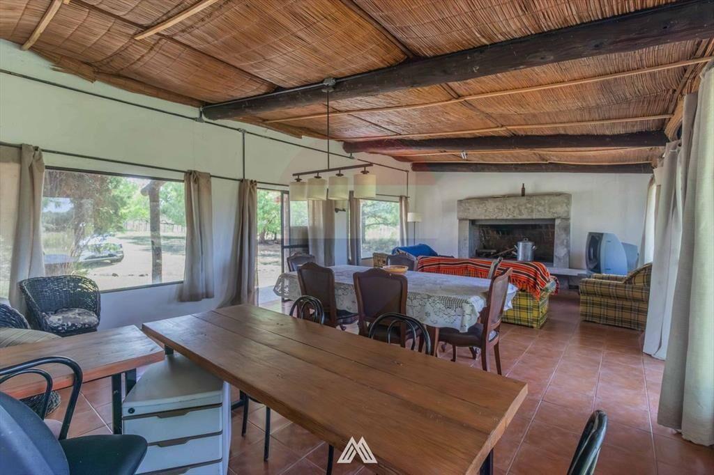 Venta CAMPO 29ha 2 CASAS en Est. Pedrera Ruta 88