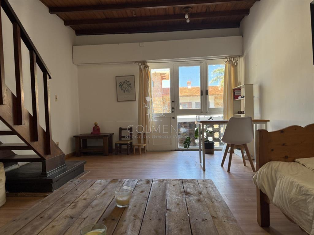 APARTAMENTO, 1 DORMITORIO Y MEDIOg , 1 BAÑO, ,