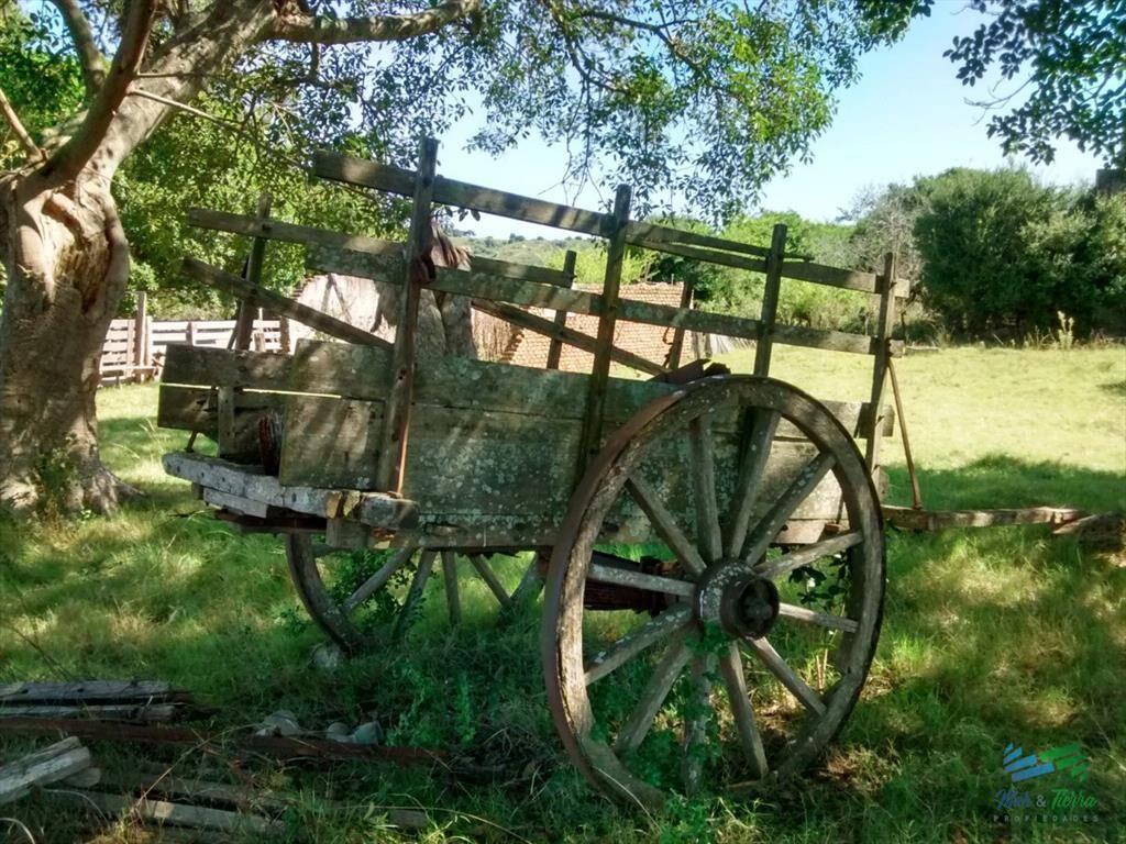 51 Has Campo Secreto