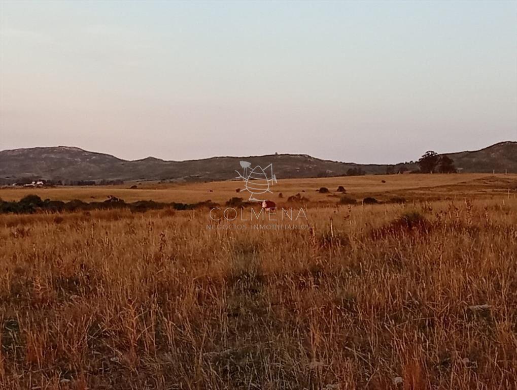 Campo 48 has en Paso Dutra
