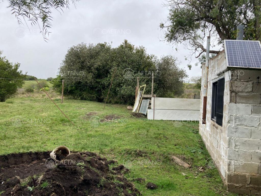 Venta chacra 7 hectáreas, Ruta 39