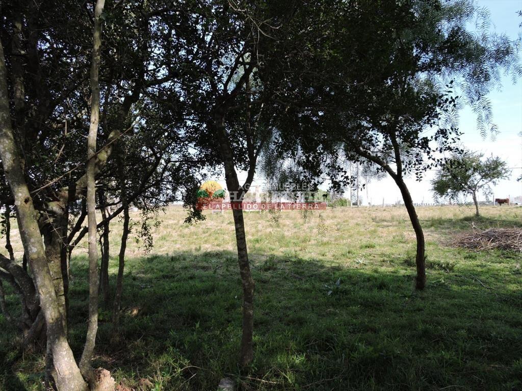 Chacra en venta Los Cerrillos, 1 has con casa de