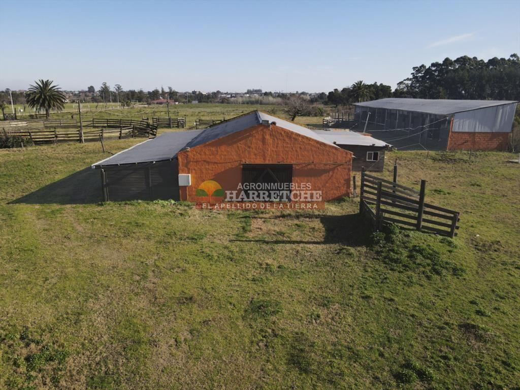 Chacra Haras hermosa 4 has, Chalet, 3 dorm, casa