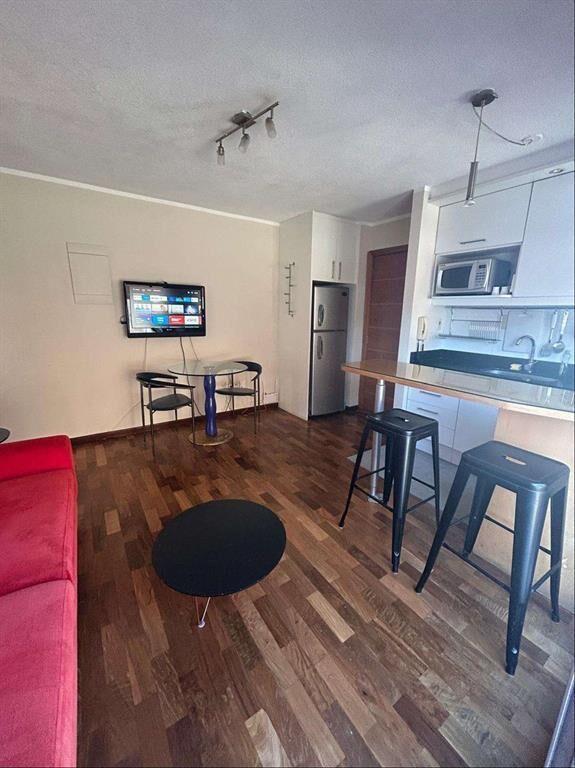 ALQUILER CON MUEBLES - PUNTA CARRETAS - UN DORMITORIOS- GRA