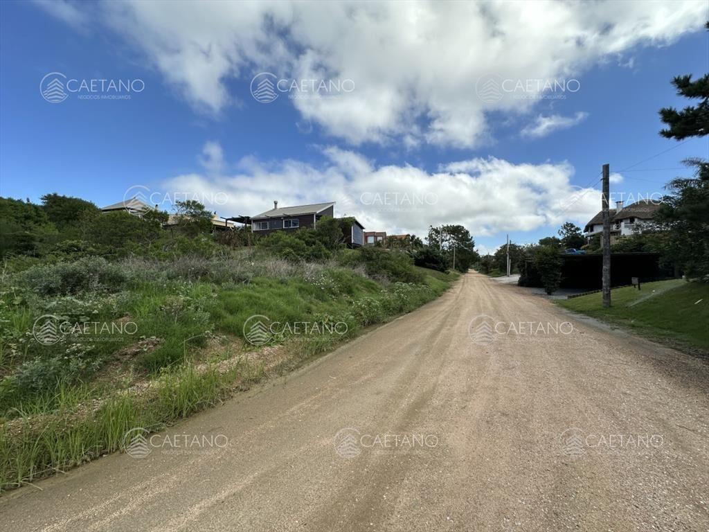 Lote tío tom