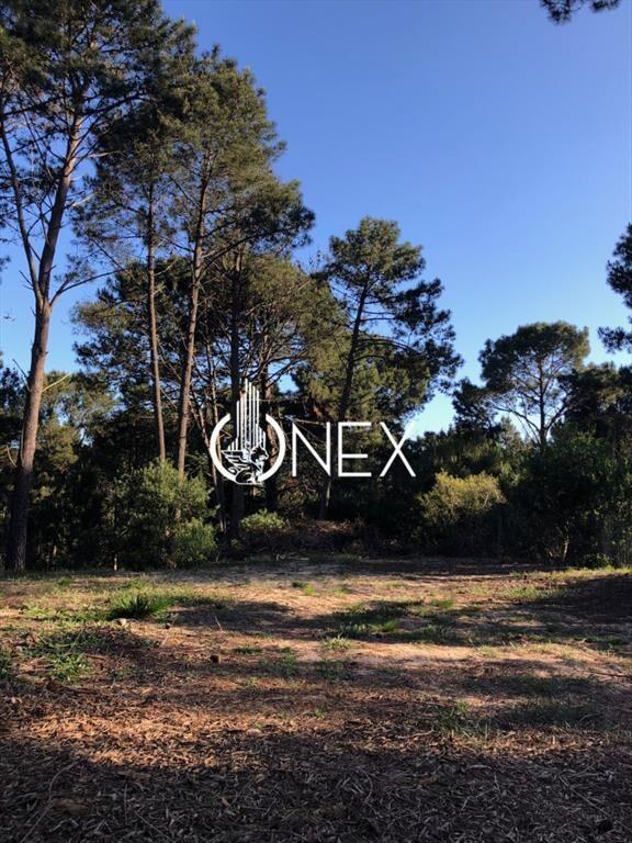 Terreno en venta en Club del Lago Maldonado