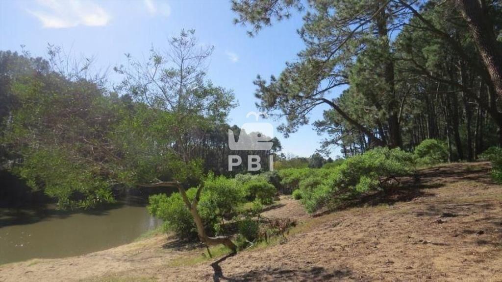 Terreno en venta Chihuahua  - Ref : PBI919