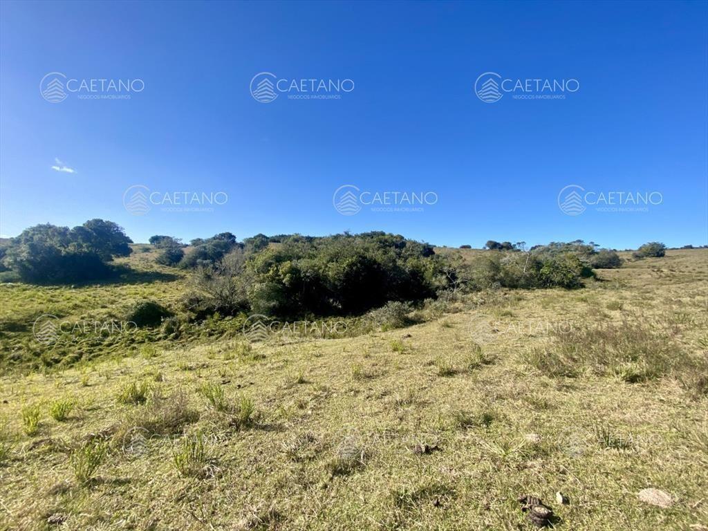 Venta chacra 5 hectáreas. Camino del Olivo,