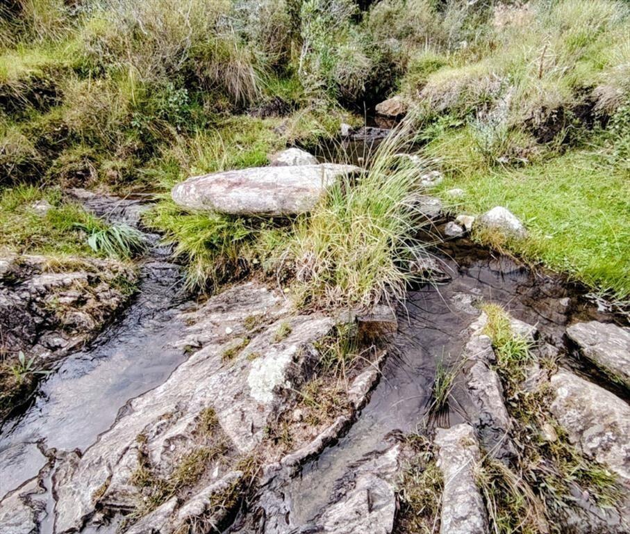 Chacra en Venta entre Ruta 12 y Ruta 60