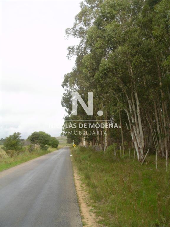 En venta enorme terreno en Barrio Camino