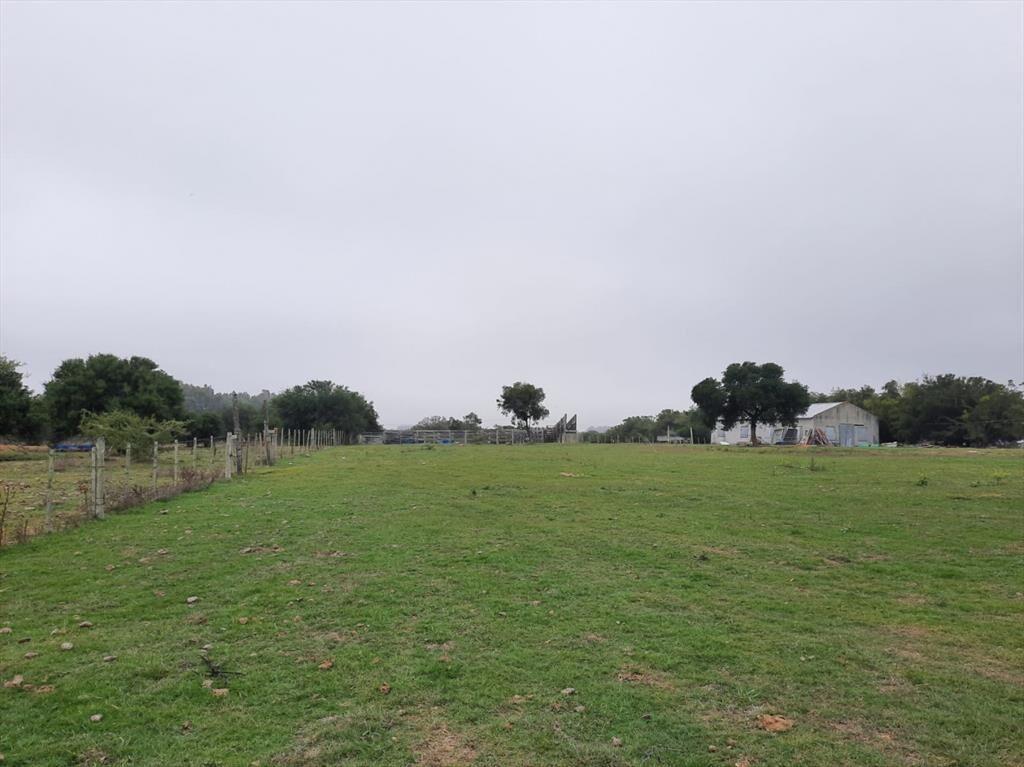 Buen predio rural, 24 héctareas a 600 m Ruta 5, KM 50.