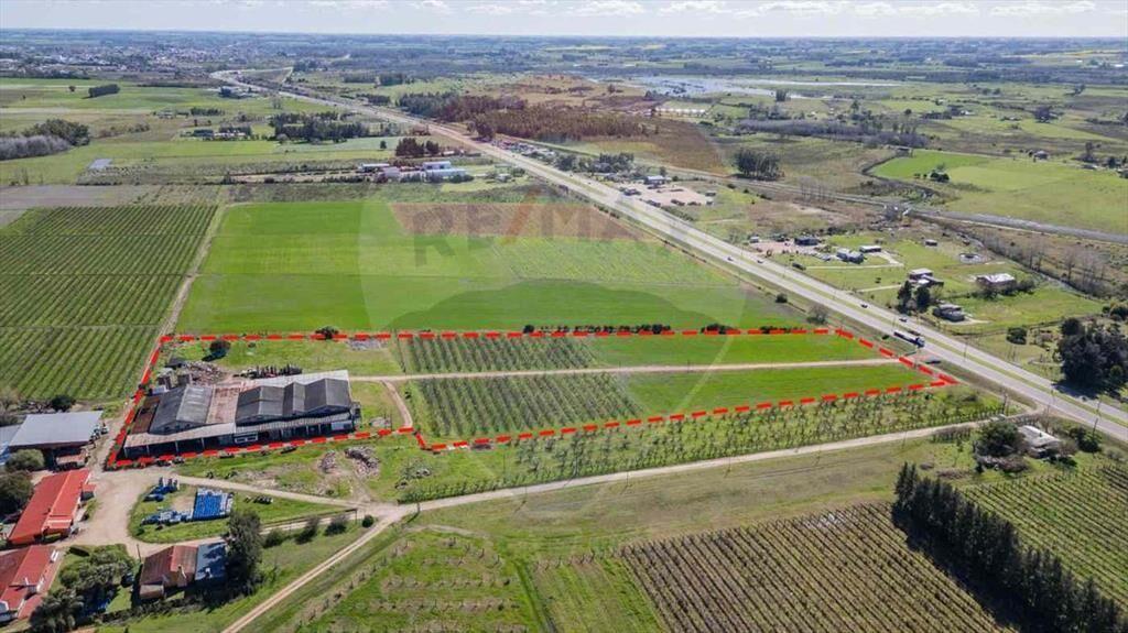 VENTA NAVE LOGÍSTICA SOBRE RUTA 5 CANELONES