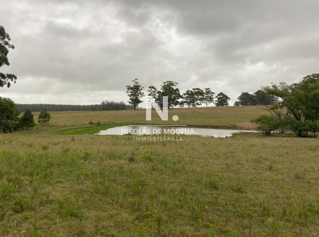 Campo en Ruta 104, 20 hectáreas