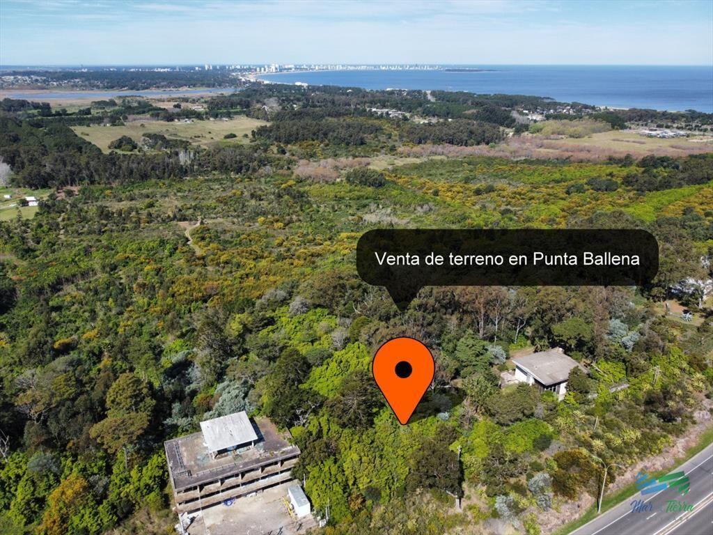 Venta de terreno Panorámico en el Lomo de Punta