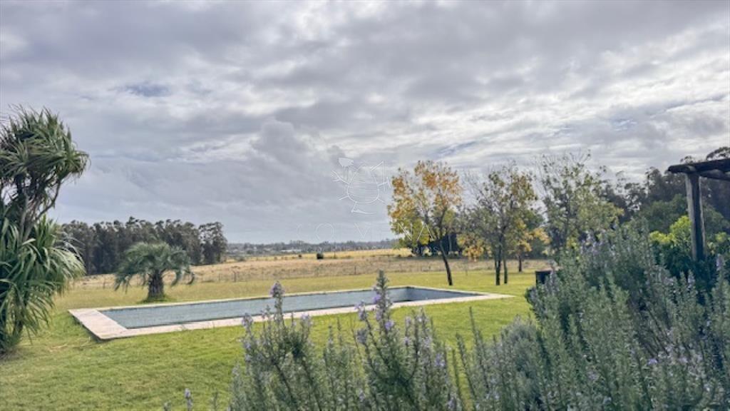 Campo 12 has con casa y piscina a 21 km de Punta