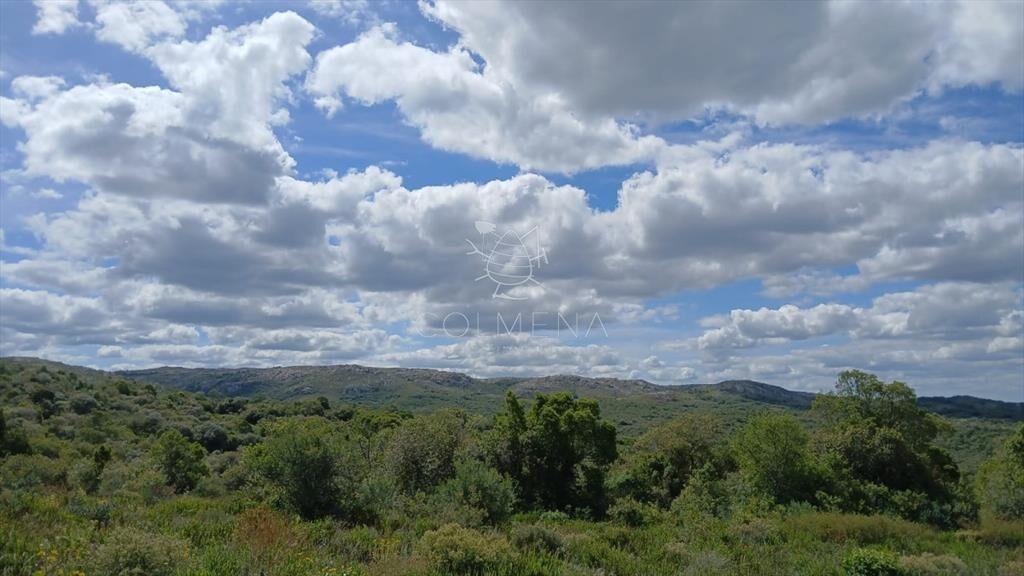 Chacra en VENTA en Aiguá