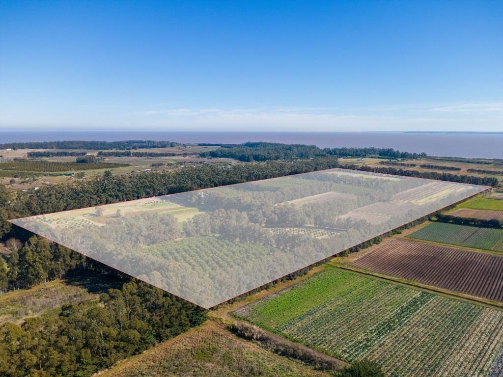 VENTA DE CHACRA 20 has EN PUNTA ESPINILLO