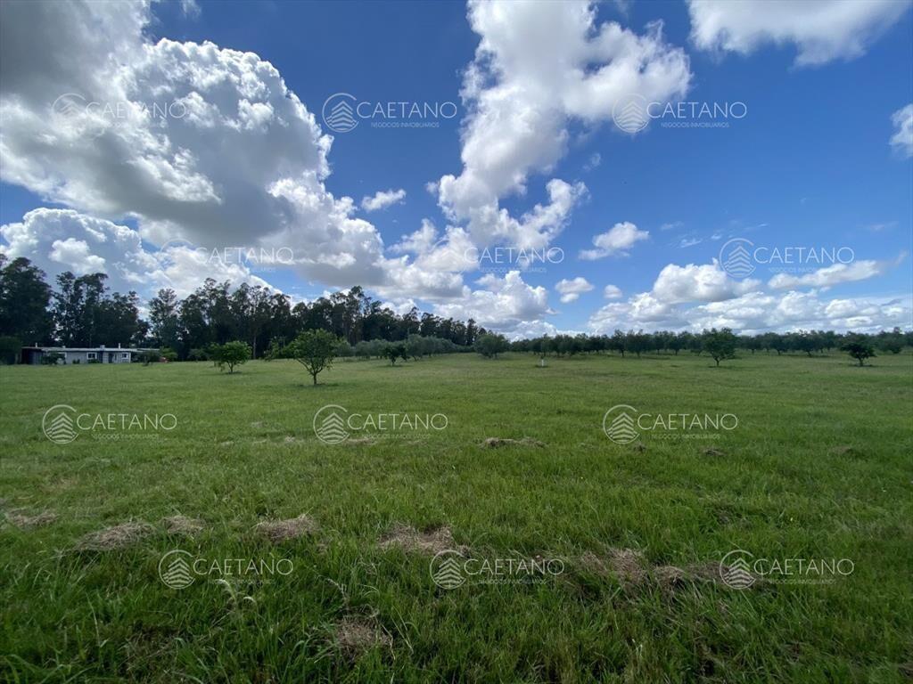 Chacra en venta 2 dormitorios - Minas