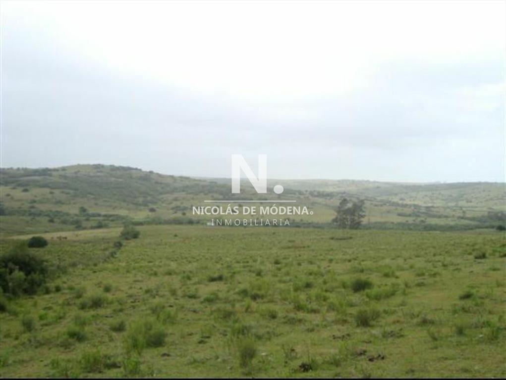 Campo de 95hás.