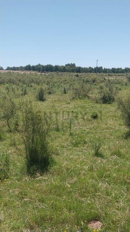 Campo Alambrado en San Jacinto, C/ Gran Tajamar, Zona alt...
