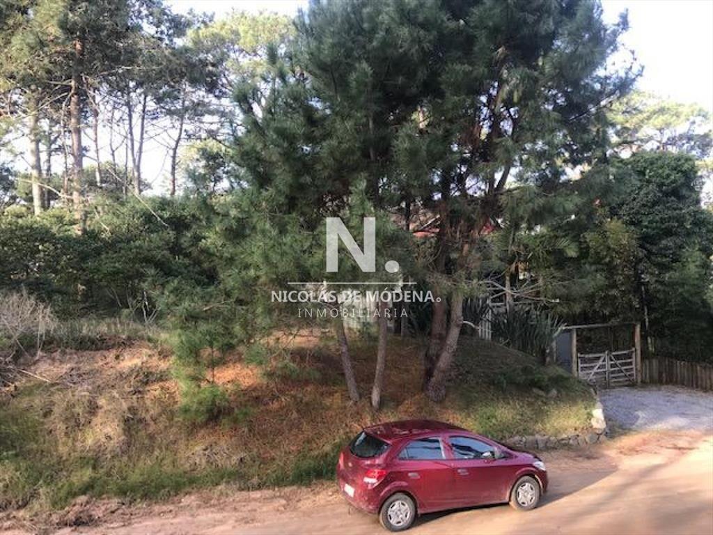 Terreno en Montoya en venta a pocas cuadras del